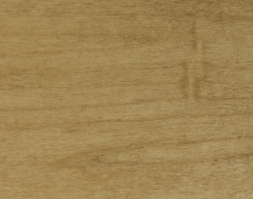 Maple M-X