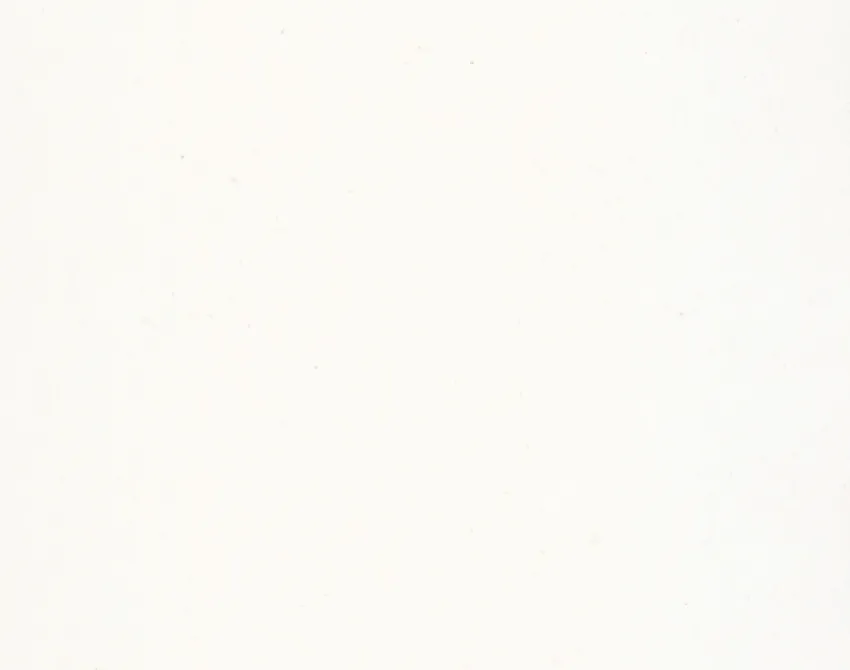 Paint white